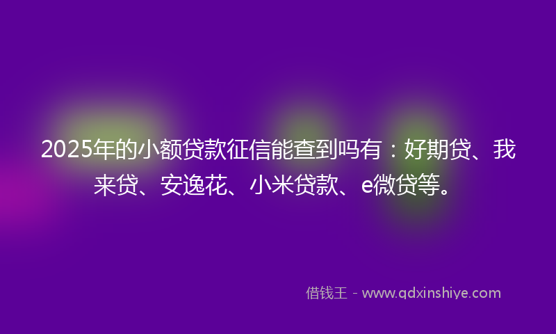 2025年的小额贷款征信能查到吗有：好期贷、我来贷、安逸花、小米贷款、e微贷等。