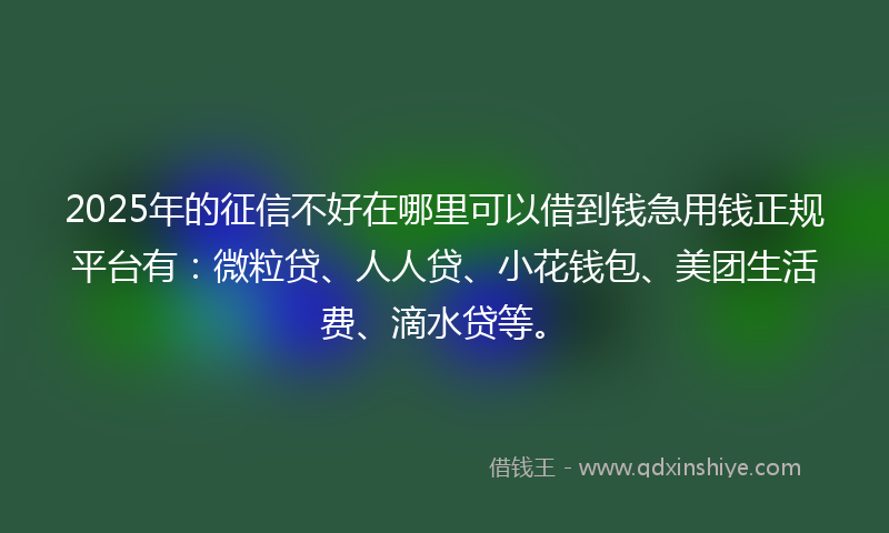 2025年的征信不好在哪里可以借到钱急用钱正规平台有：微粒贷、人人贷、小花钱包、美团生活费、滴水贷等。