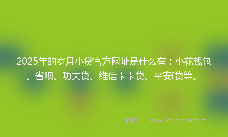 2025年的岁月小贷官方网址是什么有：小花钱包、省呗、功夫贷、维信卡卡贷、平安i贷等。