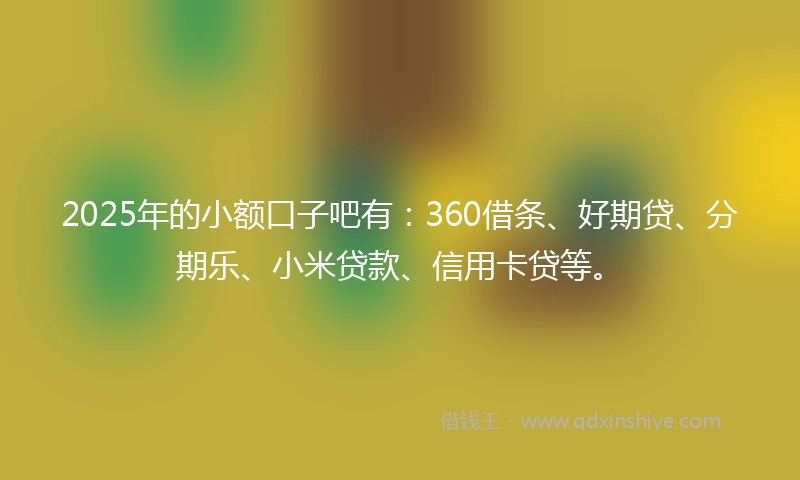 2025年的小额口子吧有：360借条、好期贷、分期乐、小米贷款、信用卡贷等。