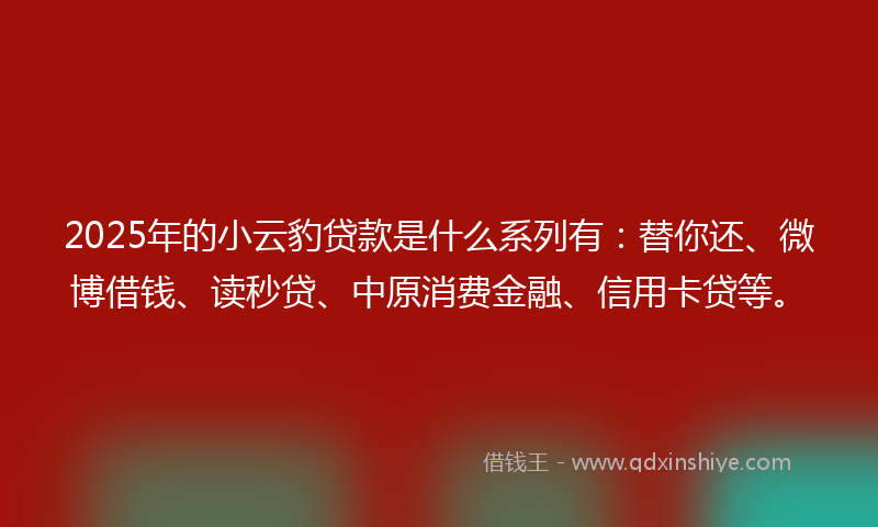 2025年的小云豹贷款是什么系列有：替你还、微博借钱、读秒贷、中原消费金融、信用卡贷等。