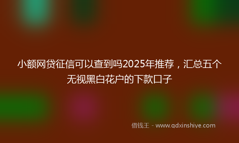 小额网贷征信可以查到吗2025年推荐，汇总五个无视黑白花户的下款口子
