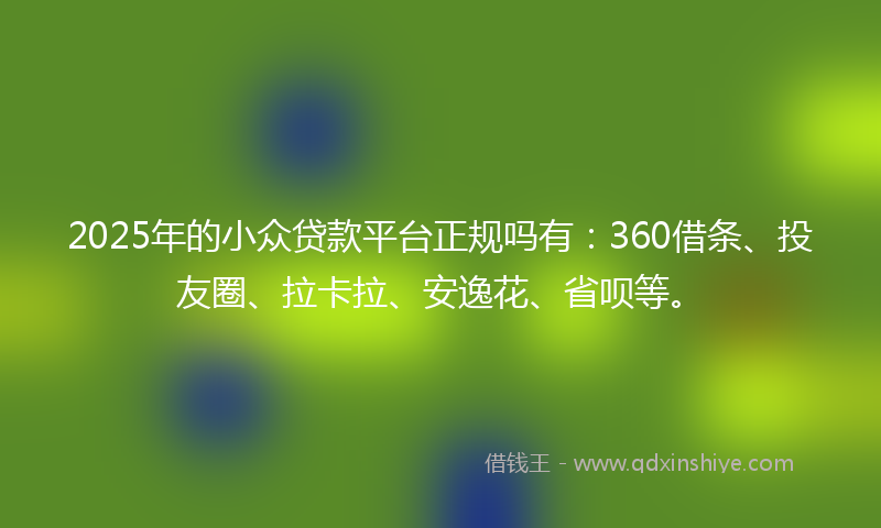 2025年的小众贷款平台正规吗有：360借条、投友圈、拉卡拉、安逸花、省呗等。