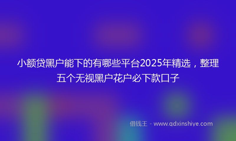 小额贷黑户能下的有哪些平台2025年精选，整理五个无视黑户花户必下款口子