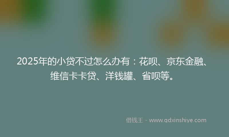 2025年的小贷不过怎么办有：花呗、京东金融、维信卡卡贷、洋钱罐、省呗等。