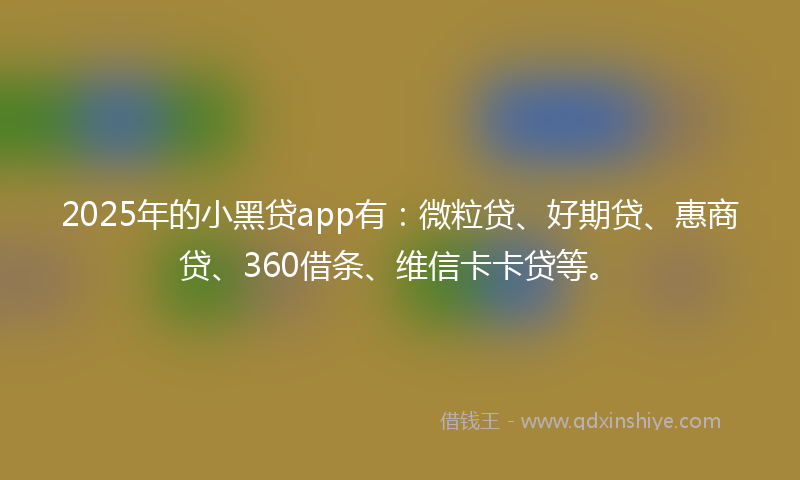 2025年的小黑贷app有：微粒贷、好期贷、惠商贷、360借条、维信卡卡贷等。