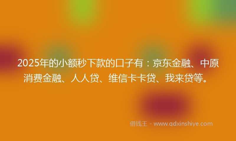 2025年的小额秒下款的口子有：京东金融、中原消费金融、人人贷、维信卡卡贷、我来贷等。