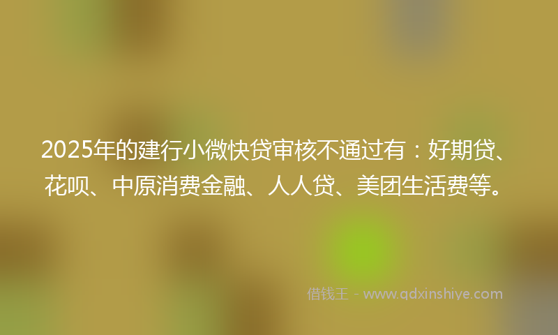 2025年的建行小微快贷审核不通过有：好期贷、花呗、中原消费金融、人人贷、美团生活费等。