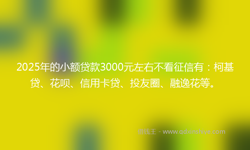2025年的小额贷款3000元左右不看征信有：柯基贷、花呗、信用卡贷、投友圈、融逸花等。