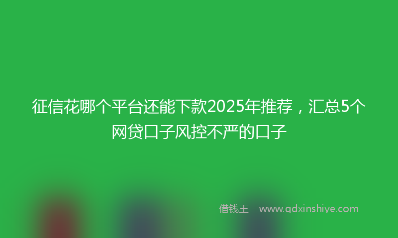 征信花哪个平台还能下款2025年推荐，汇总5个网贷口子风控不严的口子