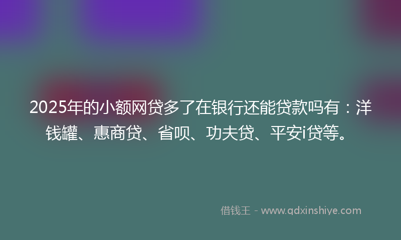 2025年的小额网贷多了在银行还能贷款吗有：洋钱罐、惠商贷、省呗、功夫贷、平安i贷等。