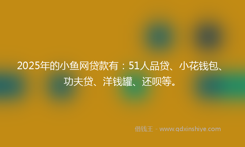 2025年的小鱼网贷款有：51人品贷、小花钱包、功夫贷、洋钱罐、还呗等。