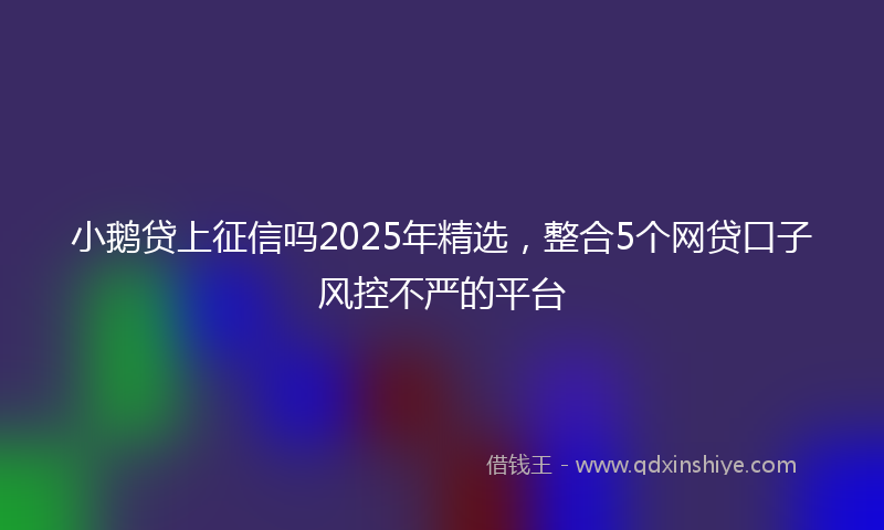 小鹅贷上征信吗2025年精选，整合5个网贷口子风控不严的平台