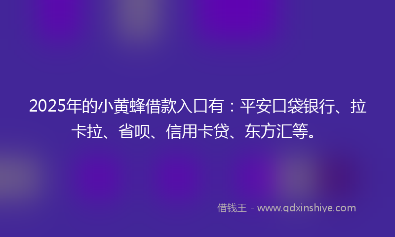 2025年的小黄蜂借款入口有：平安口袋银行、拉卡拉、省呗、信用卡贷、东方汇等。