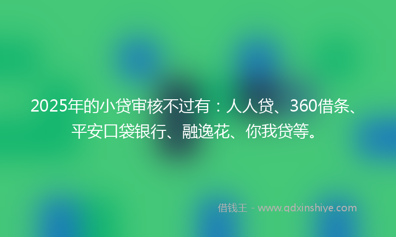 2025年的小贷审核不过有：人人贷、360借条、平安口袋银行、融逸花、你我贷等。