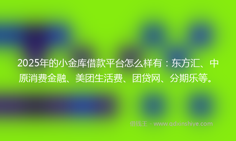 2025年的小金库借款平台怎么样有：东方汇、中原消费金融、美团生活费、团贷网、分期乐等。
