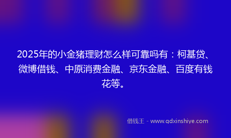 2025年的小金猪理财怎么样可靠吗有：柯基贷、微博借钱、中原消费金融、京东金融、百度有钱花等。