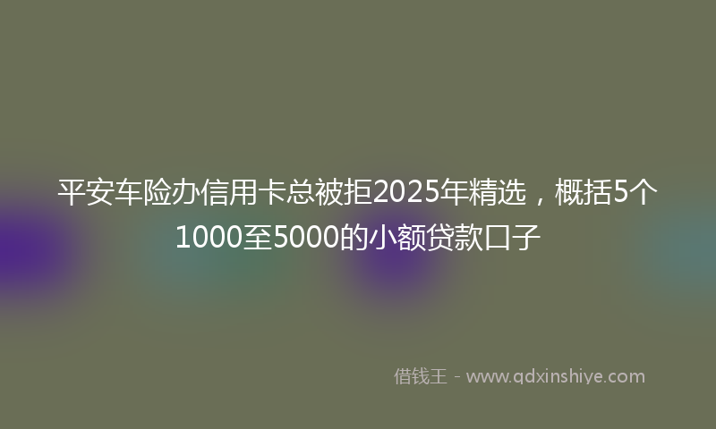 平安车险办信用卡总被拒2025年精选，概括5个1000至5000的小额贷款口子