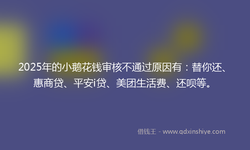 2025年的小鹅花钱审核不通过原因有：替你还、惠商贷、平安i贷、美团生活费、还呗等。