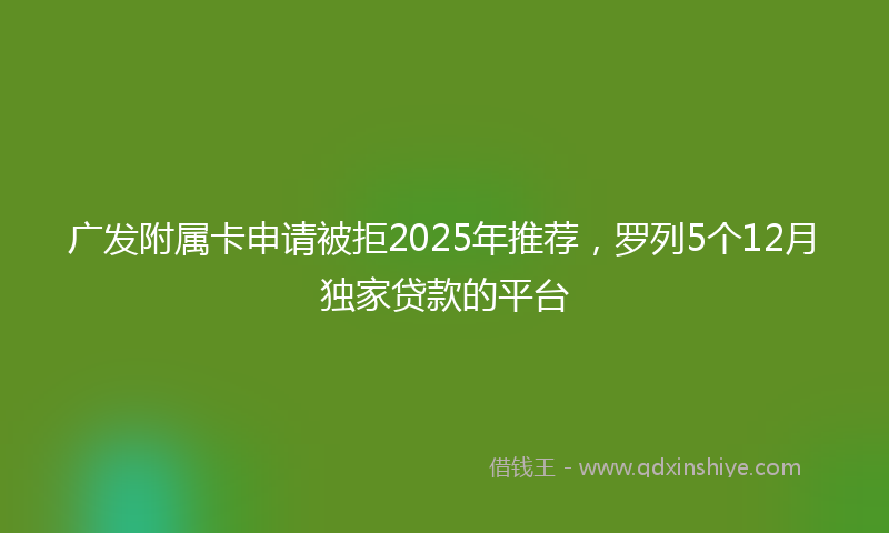 广发附属卡申请被拒2025年推荐，罗列5个12月独家贷款的平台