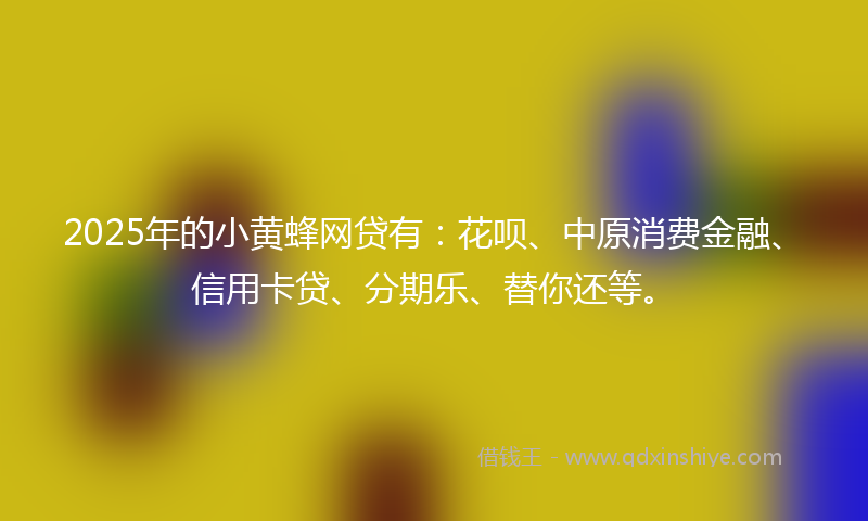 2025年的小黄蜂网贷有：花呗、中原消费金融、信用卡贷、分期乐、替你还等。