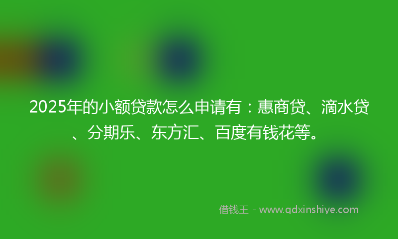 2025年的小额贷款怎么申请有：惠商贷、滴水贷、分期乐、东方汇、百度有钱花等。