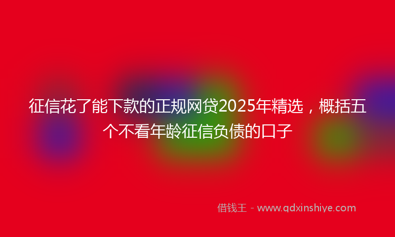 征信花了能下款的正规网贷2025年精选，概括五个不看年龄征信负债的口子