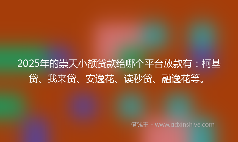 2025年的崇天小额贷款给哪个平台放款有：柯基贷、我来贷、安逸花、读秒贷、融逸花等。