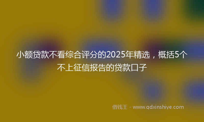 小额贷款不看综合评分的2025年精选，概括5个不上征信报告的贷款口子