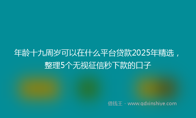 年龄十九周岁可以在什么平台贷款2025年精选，整理5个无视征信秒下款的口子