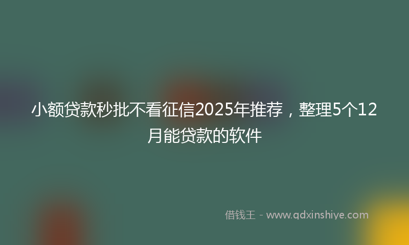 小额贷款秒批不看征信2025年推荐，整理5个12月能贷款的软件
