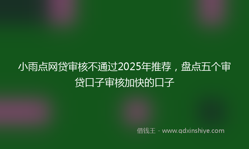 小雨点网贷审核不通过2025年推荐，盘点五个审贷口子审核加快的口子