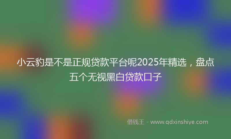 小云豹是不是正规贷款平台呢2025年精选，盘点五个无视黑白贷款口子