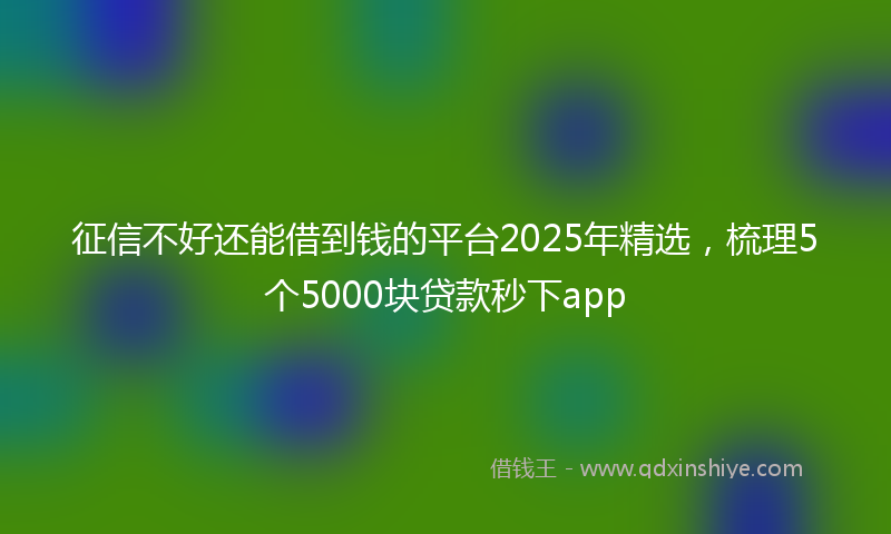 征信不好还能借到钱的平台2025年精选，梳理5个5000块贷款秒下app