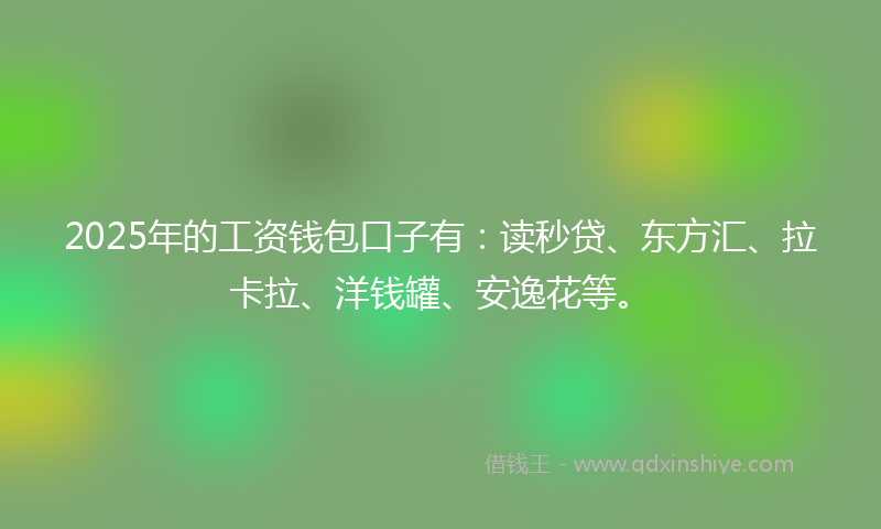 2025年的工资钱包口子有：读秒贷、东方汇、拉卡拉、洋钱罐、安逸花等。