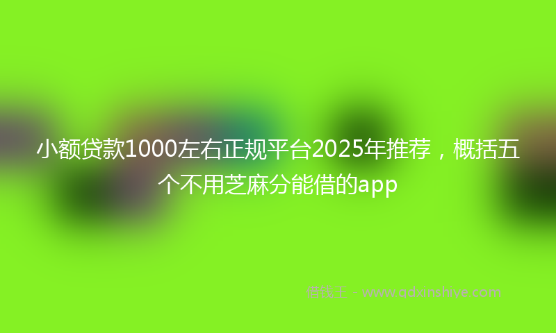 小额贷款1000左右正规平台2025年推荐，概括五个不用芝麻分能借的app