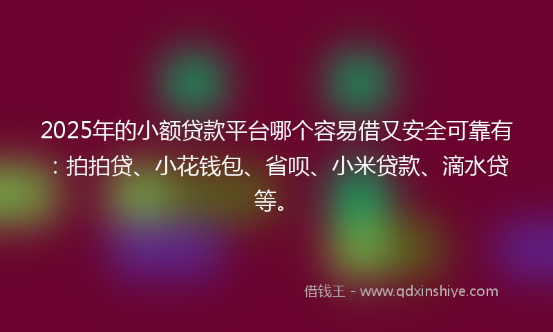 2025年的小额贷款平台哪个容易借又安全可靠有：拍拍贷、小花钱包、省呗、小米贷款、滴水贷等。