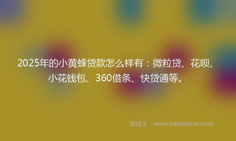 2025年的小黄蜂贷款怎么样有：微粒贷、花呗、小花钱包、360借条、快贷通等。