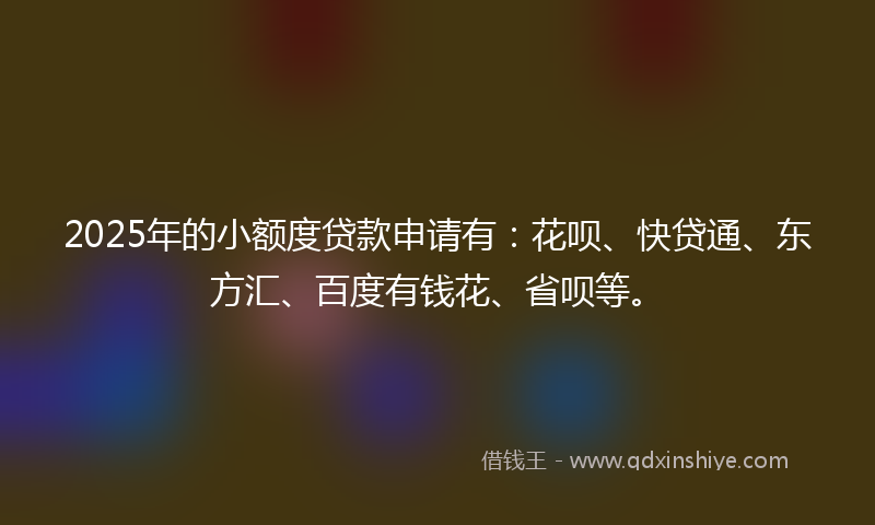 2025年的小额度贷款申请有：花呗、快贷通、东方汇、百度有钱花、省呗等。