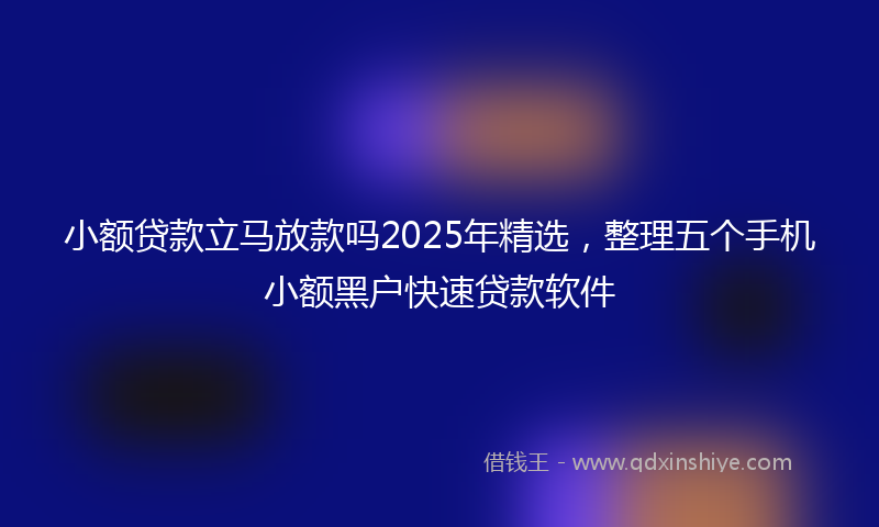 小额贷款立马放款吗2025年精选，整理五个手机小额黑户快速贷款软件