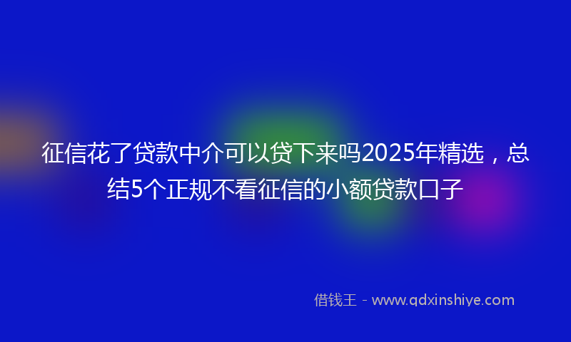 征信花了贷款中介可以贷下来吗2025年精选，总结5个正规不看征信的小额贷款口子