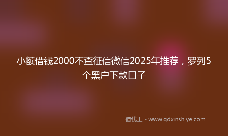 小额借钱2000不查征信微信2025年推荐，罗列5个黑户下款口子