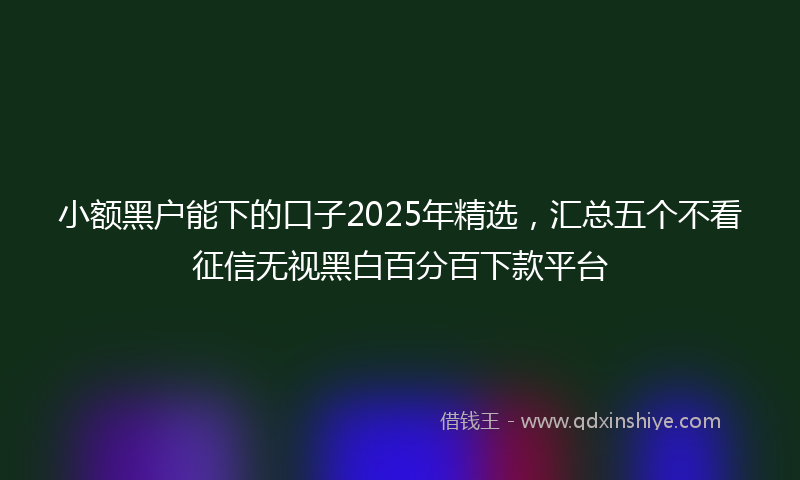 小额黑户能下的口子2025年精选，汇总五个不看征信无视黑白百分百下款平台