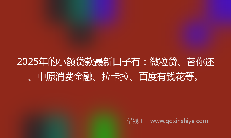 2025年的小额贷款最新口子有：微粒贷、替你还、中原消费金融、拉卡拉、百度有钱花等。