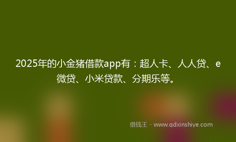 2025年的小金猪借款app有：超人卡、人人贷、e微贷、小米贷款、分期乐等。