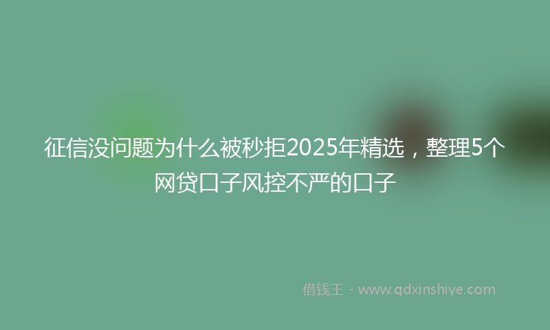 征信没问题为什么被秒拒2025年精选，整理5个网贷口子风控不严的口子