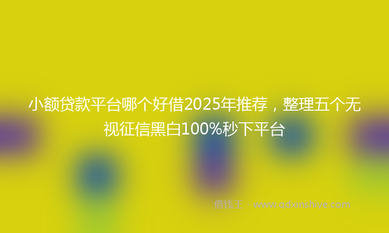 小额贷款平台哪个好借2025年推荐，整理五个无视征信黑白100%秒下平台