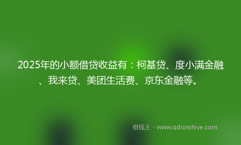 2025年的小额借贷收益有：柯基贷、度小满金融、我来贷、美团生活费、京东金融等。