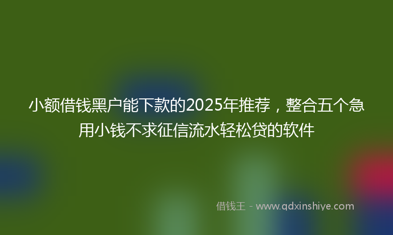 小额借钱黑户能下款的2025年推荐，整合五个急用小钱不求征信流水轻松贷的软件