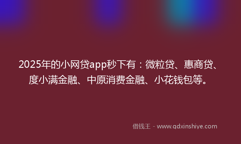 2025年的小网贷app秒下有：微粒贷、惠商贷、度小满金融、中原消费金融、小花钱包等。